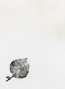 लीफ {फे-एरी डस्ट}, 2014 (लकड़ी की नक्काशी और कागज पर स्याही)